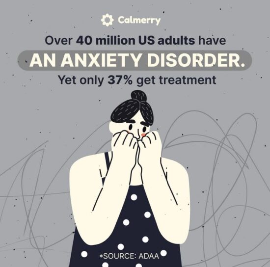 Calmerry Review: Quality Therapy Online